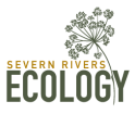 Severn Rivers Ecology